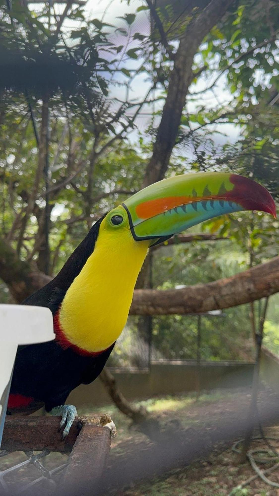 Casa Nero Panama Villa Boca Chica Eksteriør billede